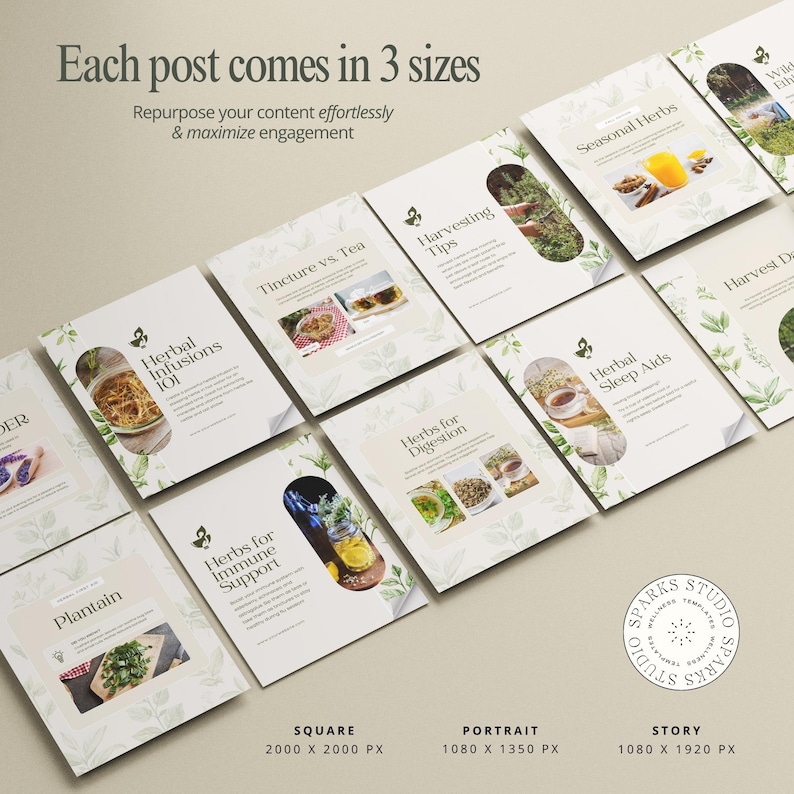 50 Herbal Wellness Social Media Templates, Done for you Herbalist Content Instagram Post Canva Templates for Holistic Practitioners, 341JK image 3