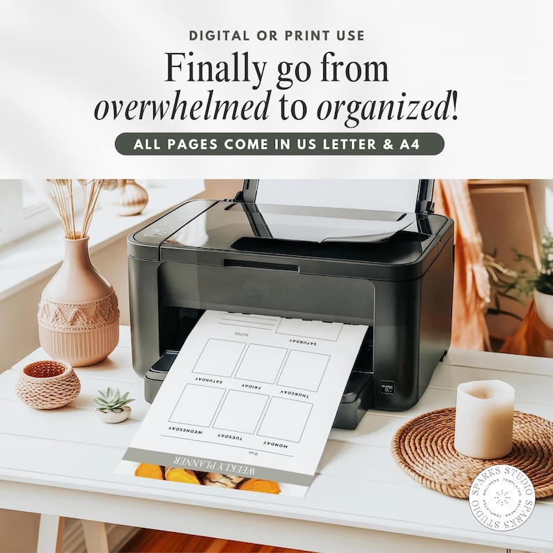 Gut Health Coach Bundle, Gut Health Guide Lead Magnet, Nutrition Coach Client Forms, Meal Plan Templates, Instagram Post  Templates, Canva