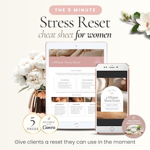 Puede incluir: Imagen de marketing digital con una tableta y un teléfono inteligente que muestra una hoja de trucos de "5-Minute Stress Reset". La imagen incluye el texto "The 5 Minute Stress Reset cheat sheet for women". Un jarrón de flores está en el fondo.