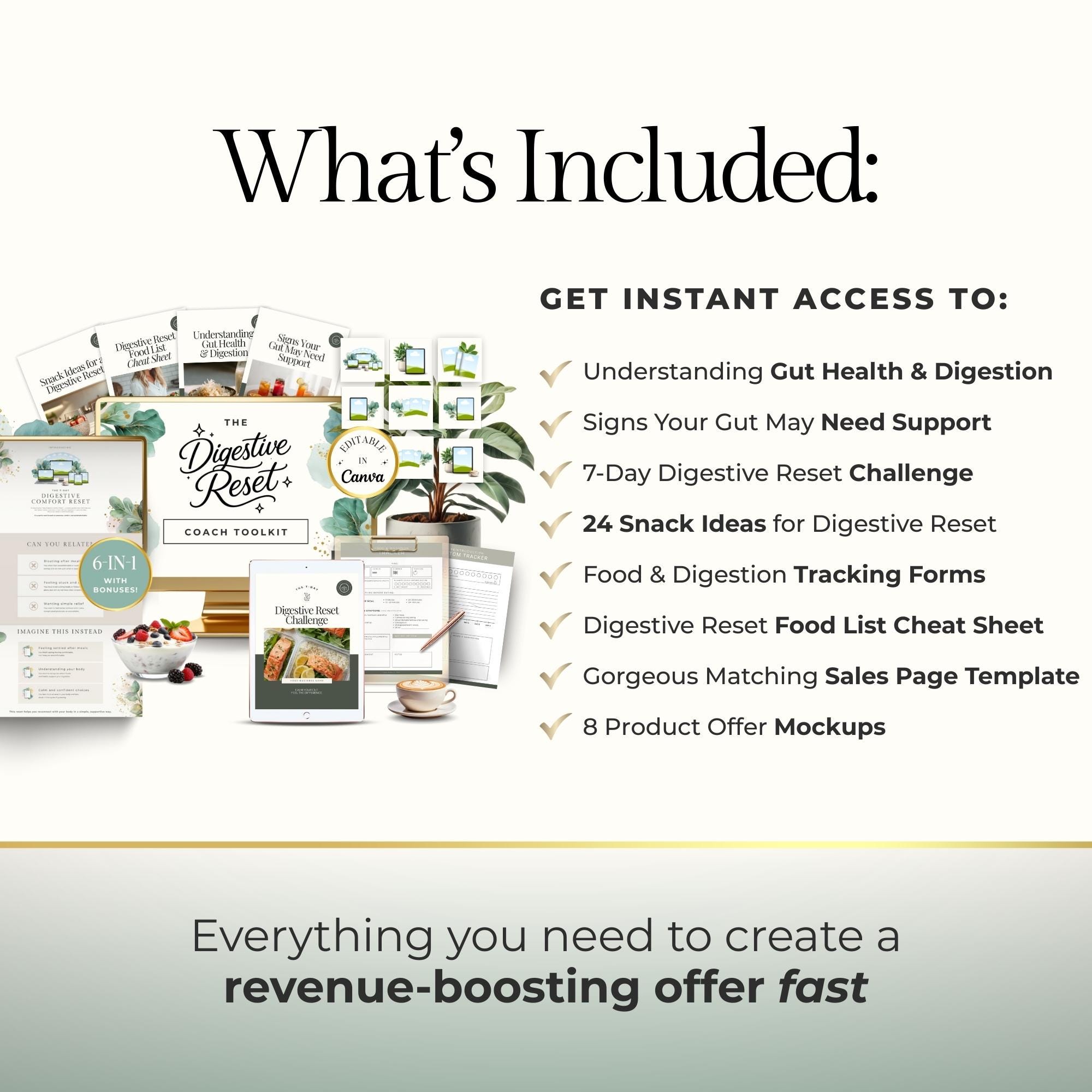 Digestive Reset Coach Toolkit Canva Templates for Wellness Coach Gut ...