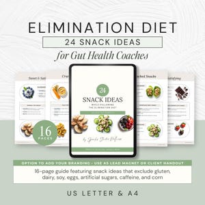 Elimination Diet Snack Ideas eBook, 24 Gut-Friendly Snacks for Clients, Holistic Health Coach Resource, Low Histamine, Gluten Free Guide