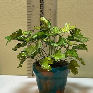1:12 1/6 scale miniature dollhouse garden Monstera deliciosa houseplant in glazed terra cotta pot afbeelding 2