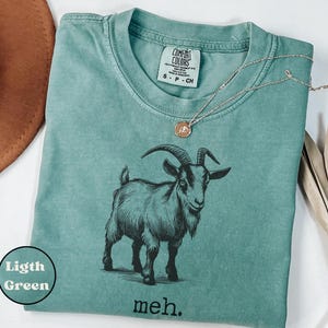 May include: A light green t-shirt with a black and white illustration of a goat and the word "meh." printed on the front.
