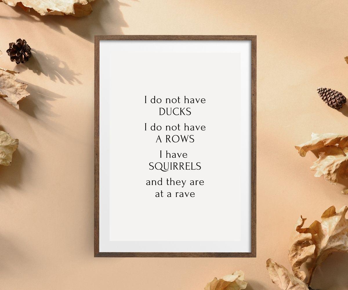 Squirrel Rave Sign Funny Squirrels Rave Typography Poster: Sarcastic Quote Wall Art ...
