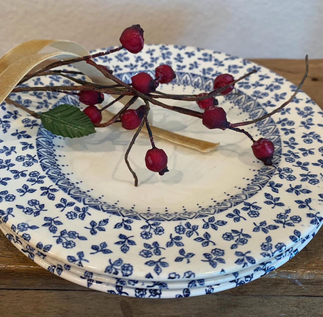 Vintage Set of 3 Ironstone Plates, Blue and White Ironstone, English ...