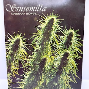 May include: A dark brown poster with the word "Sinsemilla" in a cursive font and the words "Marijuana Flowers" below it. The image features several green and yellow cannabis plants.