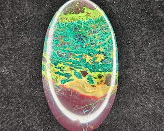 Parrot Wing Chrysocolla Cabochon