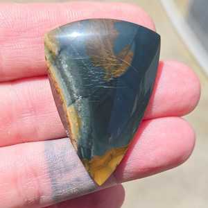 Blue Mountain Jasper Cabochon