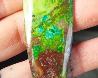 Parrot Wing Chrysocolla Cabochon
