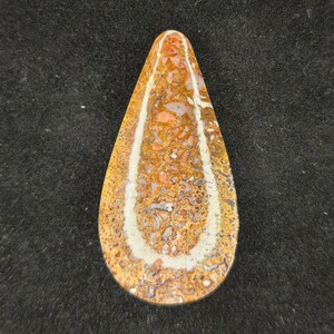 Dino Gem Bone Cabochon