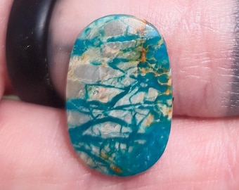 Fox Mine Turquoise Cabochon