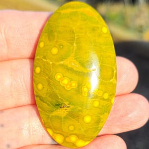 カンベイビー オーシャンジャスパー - Etsy 日本