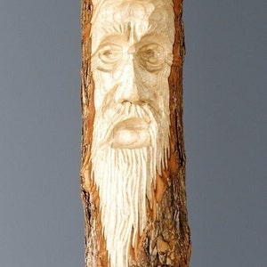 K&ouml;nnte beinhalten: Ein geschnitztes Holzgesicht einer &auml;lteren Person mit langem Bart ist in die Rinde eines Baumstammes geschnitzt.