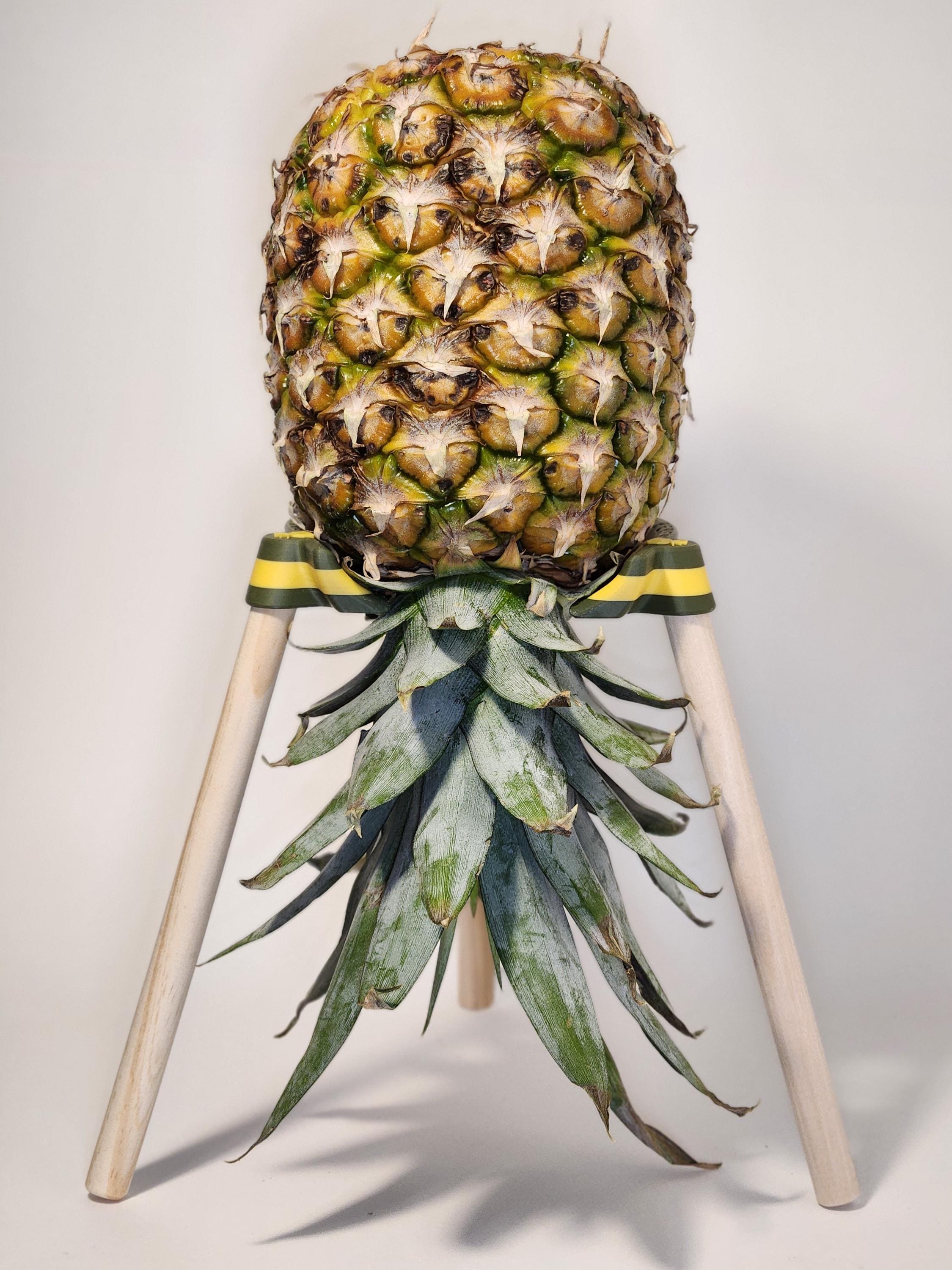 Pineapple statue - Etsy 日本