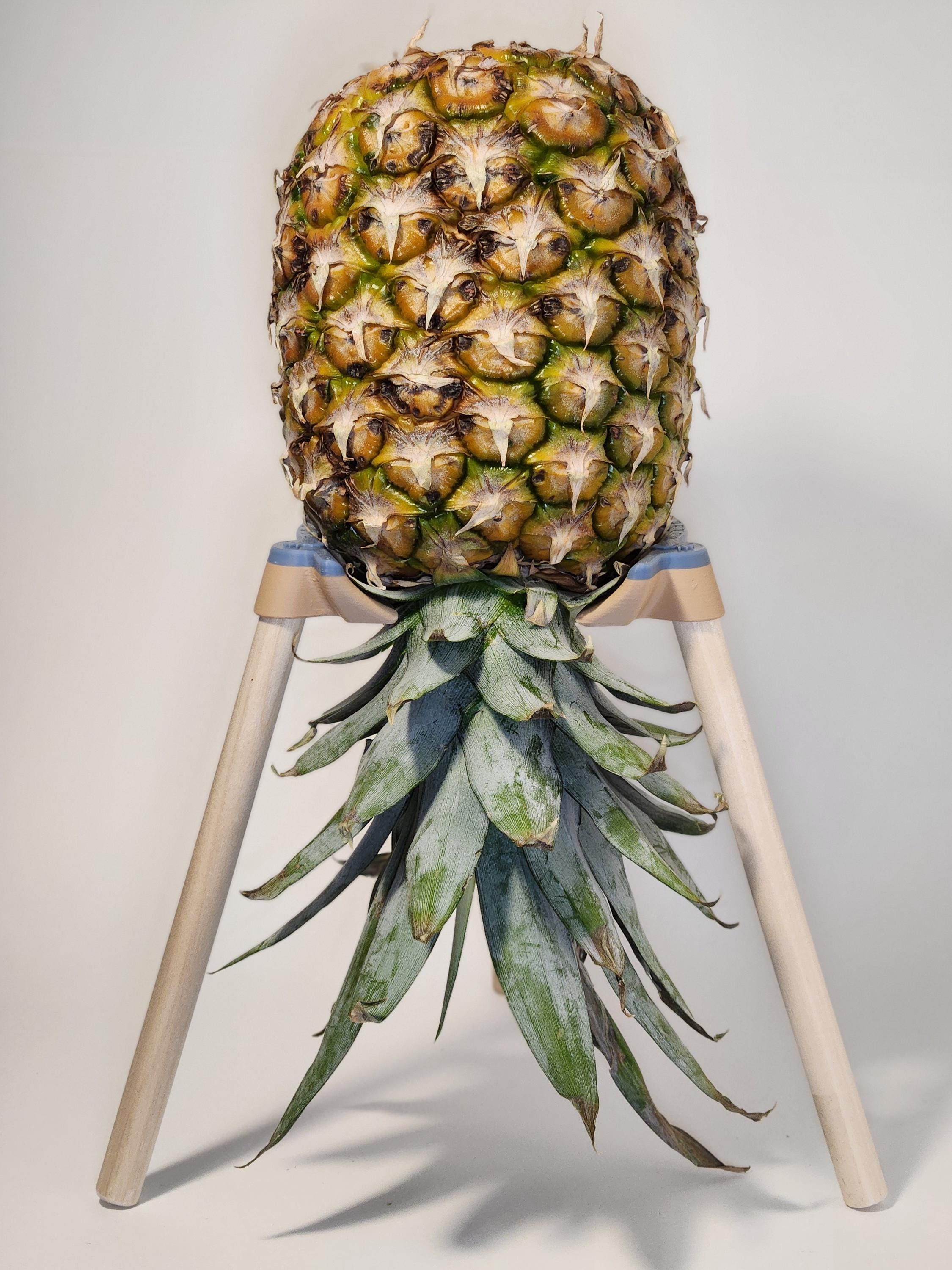 Pineapple Perch: Upside Down Pineapple Ripening Stand, 3D Printed