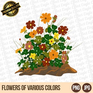 Watercolor Flower Clipart: Boho Floral PNG Design (Digital Download)
