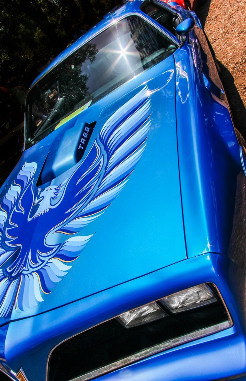1977 Pontiac Firebird Trans Am Car Fine Art Print or
