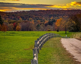 Path to Tranquility, Fall Tree Photo Art, Autumn Photography, Countryside Art, Fall Nature Art, Autumn Nature Photo, Rustic Landscape Photo