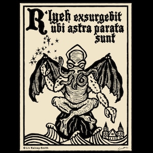 Koszulka unisex z nadrukiem „The Dreamer Awakes” z drzeworytem, dostępna w rozmiarach S-4XL