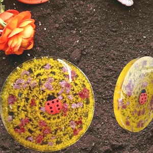 May include: Two round yellow coasters with a ladybug design and pink and red flower accents. The coasters are on a dark brown surface.