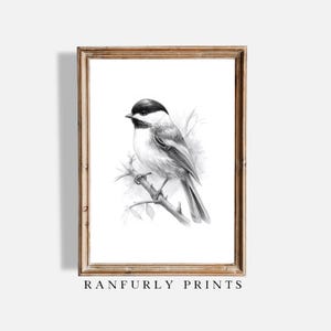 Chickadee Bird Sketch Print – Black and White Bird Drawing – Rustic Nature Wall Art – Botanical Animal Decor – Digital Download