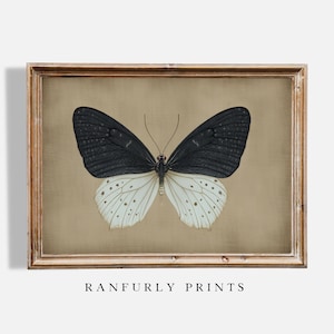 Butterfly Print: Vintage-Style Insect Wall Art (Digital Download)