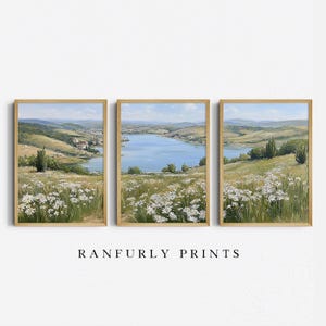 May include: Three framed landscape paintings. Each features a serene view of a lake and rolling hills under a blue sky. The foreground is filled with white wildflowers. The frames are a light wood color. The text "RANFURLY PRINTS" is at the bottom.