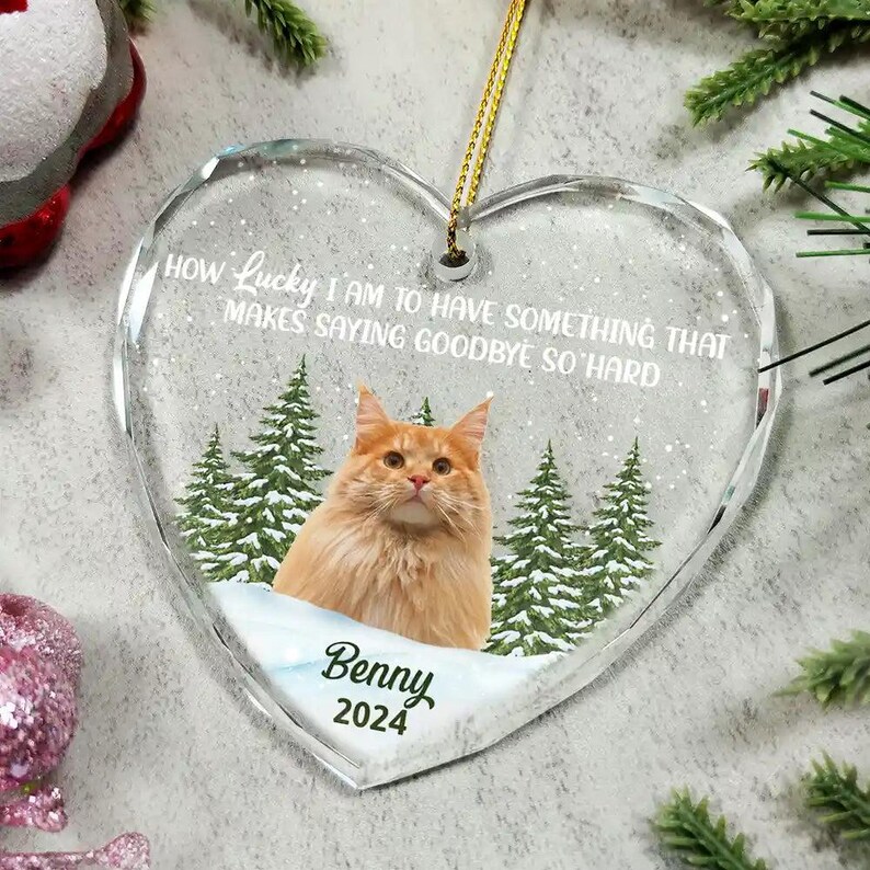 Custom Photo How Lucky I Am Memorial Dog Cat Personalized Glass