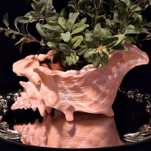 May include: A pink seashell planter with a green leafy plant inside. The planter is sitting on a black surface with a silver tray underneath.