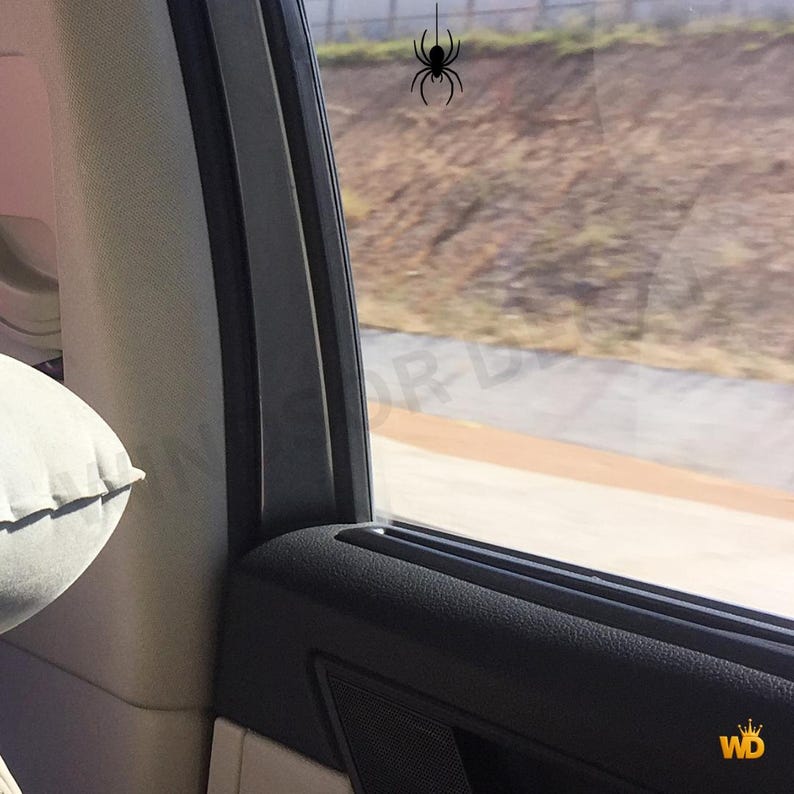 Puede incluir: Un adhesivo negro con forma de ara&ntilde;a aplicado en el interior de la ventanilla de un coche. La ara&ntilde;a se representa con un cuerpo redondo y ocho patas, colgando de una l&iacute;nea vertical. El adhesivo est&aacute; colocado contra el cristal de la ventana.