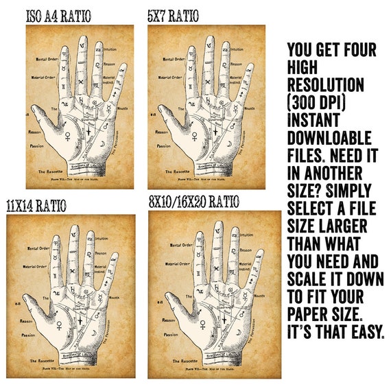 Printable Palm Reading Chart