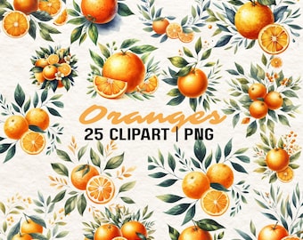Orange Watercolor Clipart: Citrus Blossom PNG Images (Digital Download)