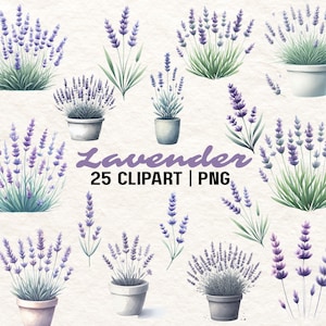 25 Lavender Clipart | Watercolor Lavender | Floral Clipart | Lavender PNG | Purple Flower Art | Instant Download |