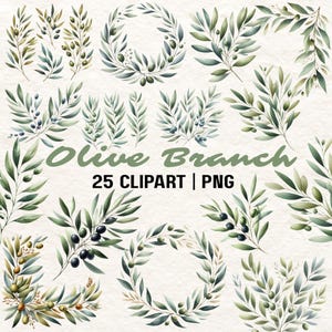 25 Clipart di rami di ulivo / PNG di rami di ulivo / Clipart di vegetazione / Clipart botanica / Verde acquerellato / Clipart di olive / PNG di olive