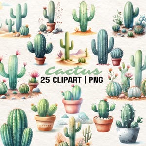 25 Cactus Clipart | Cactus PNG  | Succulent PNG | Succulent Clipart | Desert PNG | Desert Clipart | Instant Download