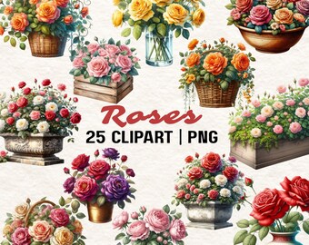 25 Clipart di rose ad acquerello: PNG floreale, SVG (download digitale)