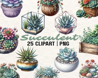 25 Clipart di piante grasse / Sfondo trasparente / Clipart di piante grasse / Download immediato / PNG