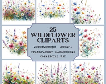 25 Clipart acquerello di fiori selvatici / Sfondo trasparente / Acquerello / Download immediato / PNG