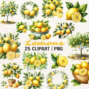25 Lemon Clipart | Lemon PNG | Citrus Clip Art | Lemons Clipart | Lemons Clip Art | Lemon tree PNG | Lemon Tree Clipart |