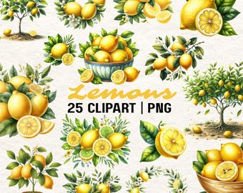 Lemon Watercolor Clipart: Citrus PNG Illustrations (Digital Download)