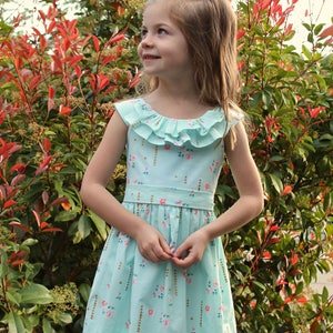 May include: A light blue dress with a floral pattern and a ruffled neckline. The dress has a fitted waist and a flared skirt. The background features green and red foliage.