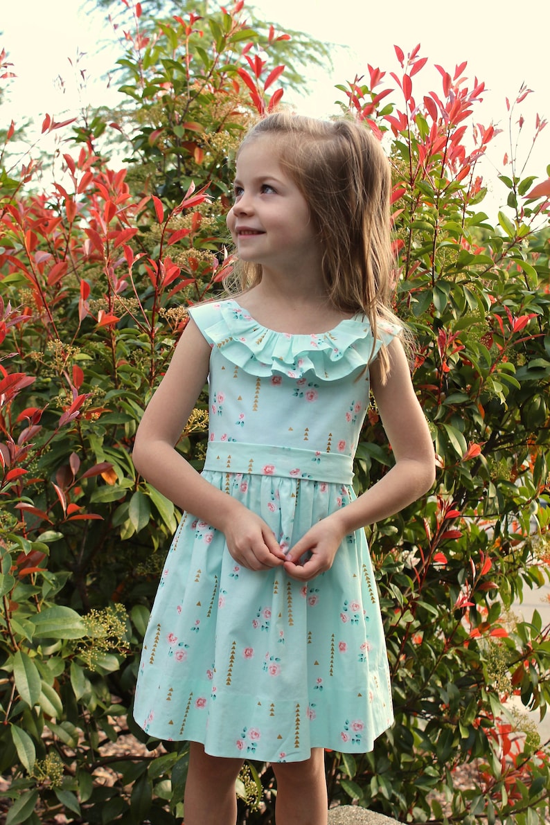 May include: A light blue dress with a floral pattern and a ruffled neckline. The dress has a fitted waist and a flared skirt. The background features green and red foliage.