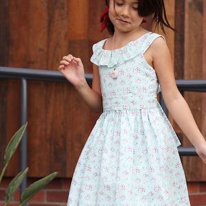 May include: A light blue dress with a floral pattern of red and pink dots. The dress has a ruffled neckline and a matching belt. A silver necklace with a pendant is visible. The dress is suitable for a young girl.