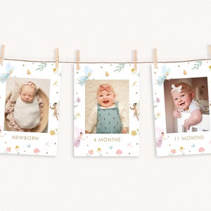 Fairy First Year Photo Banner: Instant Download