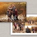Starry Christmas Card Template for Photoshop: Instant Download 