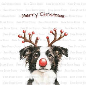 Merry Christmas  border collie Reindeer Clipart, Holiday Pet Design, PNG SVG Digital Download,gifts for dogs lover, border collie png svg