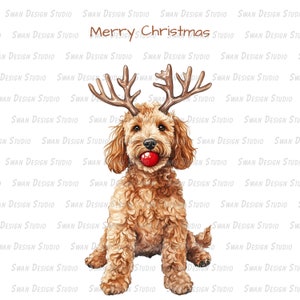 golden doodle dog,Merry Christmas Curly Dog Reindeer Clipart, Holiday Pet Design,PNG SVG Digital Download,Christmas gifts,dogs lover gifts
