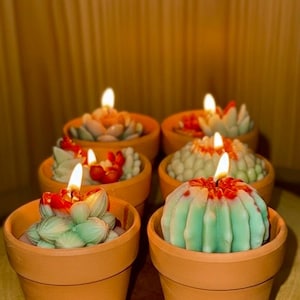 May include: Six cactus-shaped candles in terracotta pots. The candles are various shades of green, red, and white, with lit wicks. The candles are arranged on a wooden surface, creating a decorative display.