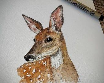 Doe ~ Original Watercolor Painting