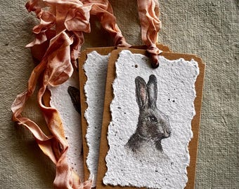 François Bunny Tags